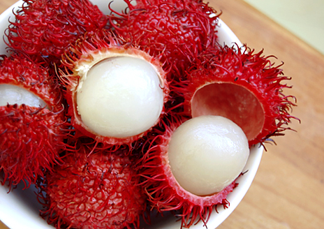 rambutan 1 0 resized 600