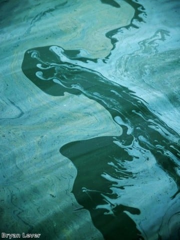 Contaminated water with surface swirl pattern 