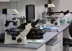 Shared Lab Leveraging Shared Lab Space for Life Science Success