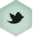 Twitter share button