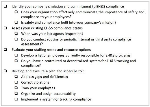 ehs executive checklist