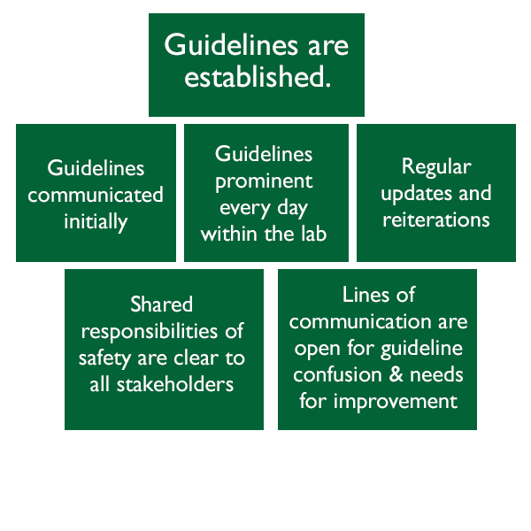 clarity of guidelines graphic