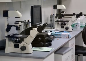 Laboratory microscopes on gray countertop