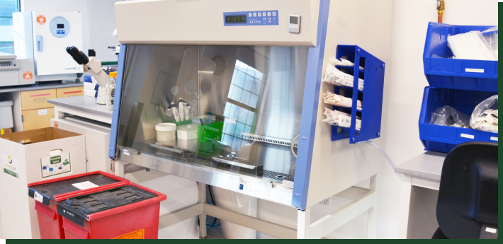 BSC testing, certification, decontamination, and maintenance