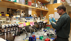 Scientist in a messy lab examines a bottle of chemicals for a chemical inventory