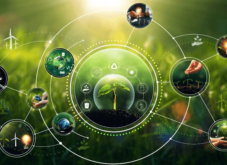 esg, sustainability, reporting frameworks