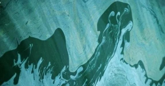Four Common Wastewater Discharge Permit Violations & How to Avoid Them