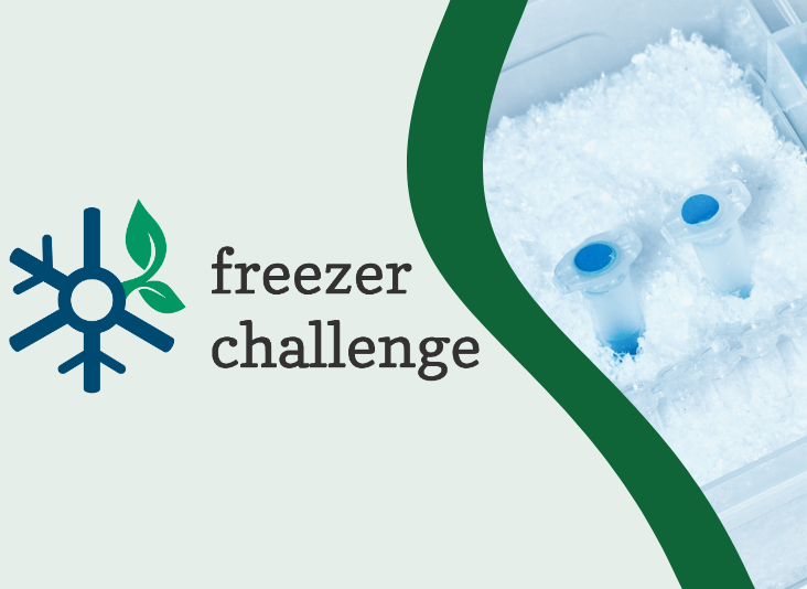 freezer challenge my green lab blog guest triumvirate