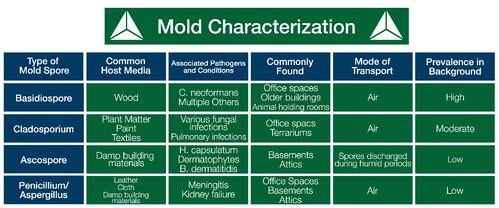 Mold characterization chart by Triumvirate Environmental