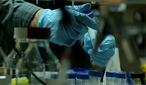 Scientist in a lab examines a test tube while completing a chemical inventory