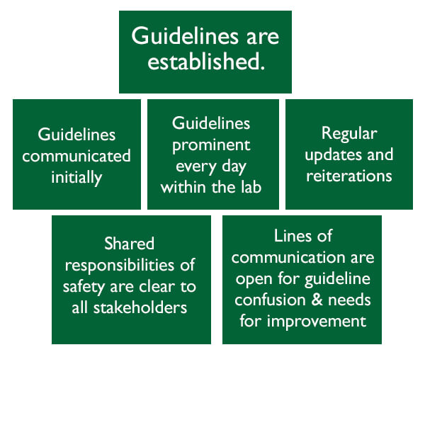 Guidelines in green squares graphic