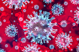 Coronavirus 