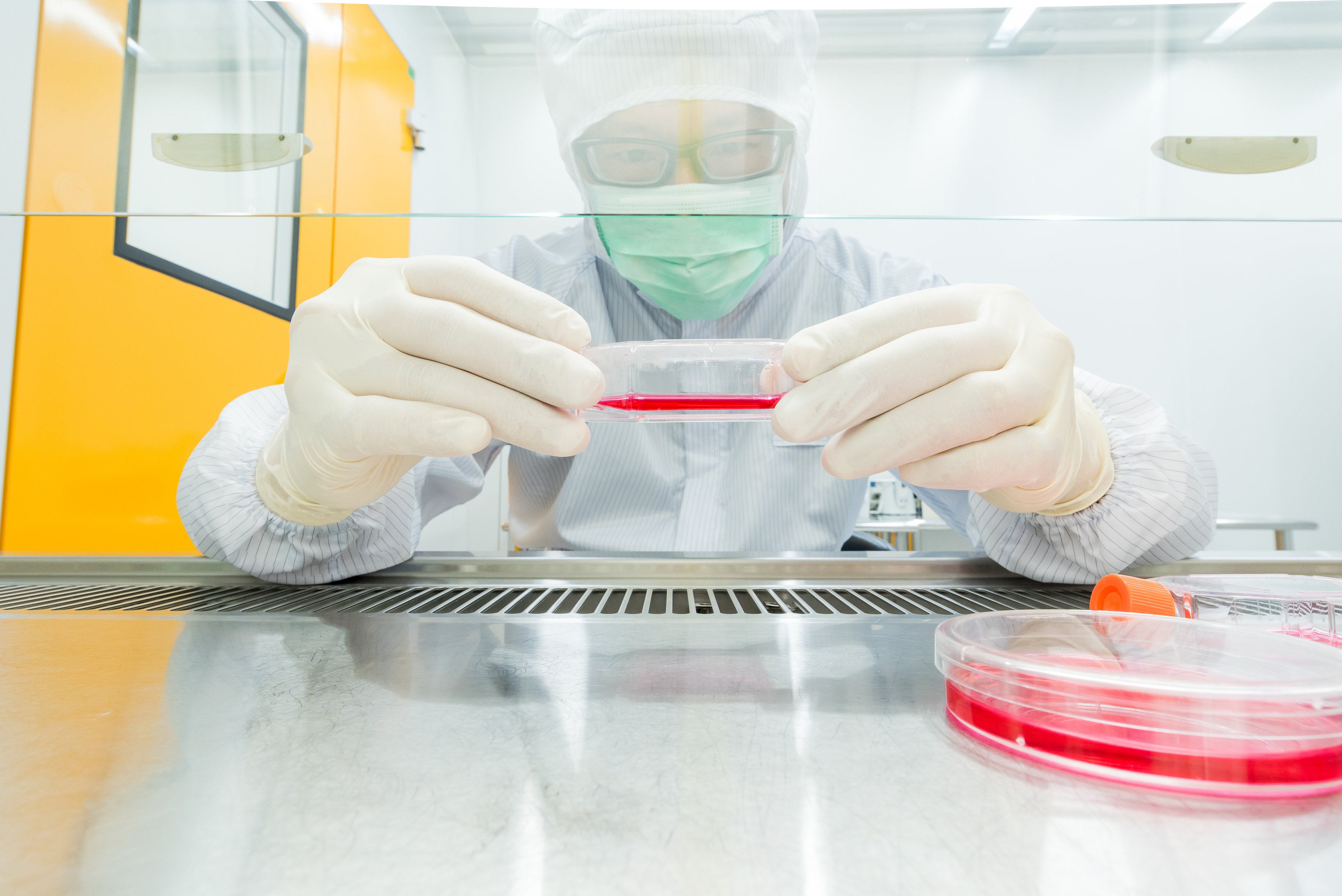 Deep-Dive BSC Certifications Promote Top Performance and ROI