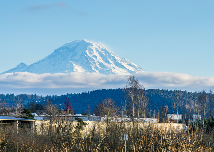 Auburn WA 