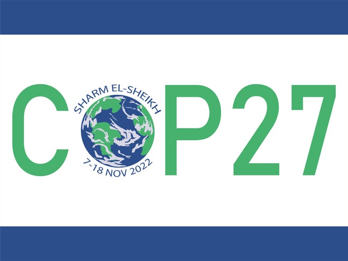 What COP27—and Future Climate Talks—May Mean for Your Organization