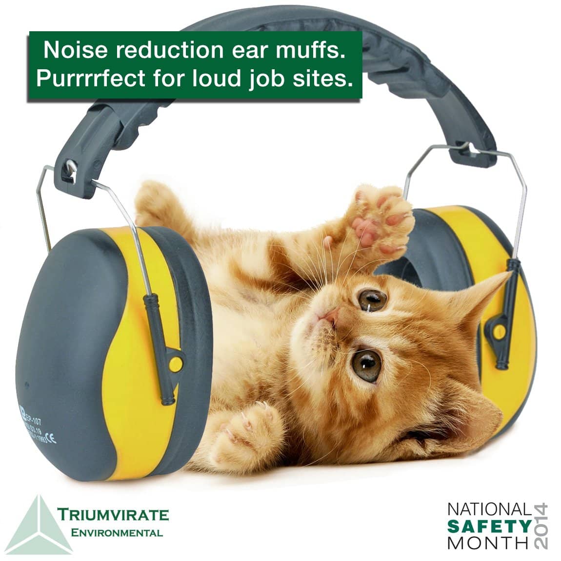 Hearing protection with kitten graphic